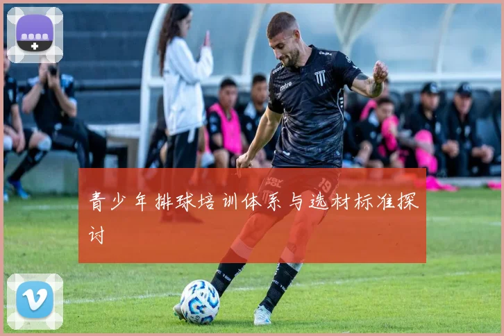 青少年排球培训体系与选材标准探讨